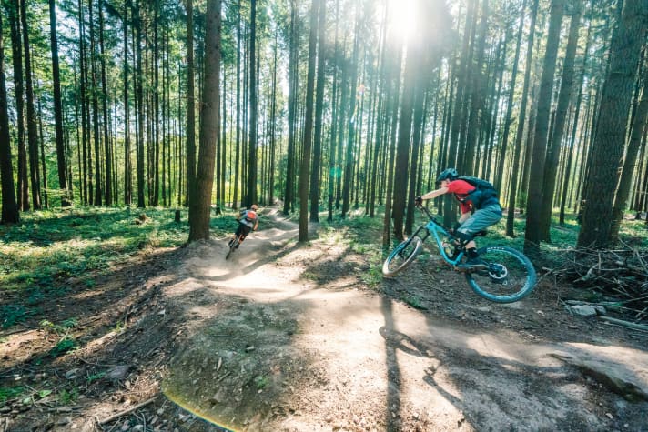 With talent and spit: The trails on the Füsselberg near Freisen have been modelled according to the latest standards - and feel pretty much like a Scottish trail centre.