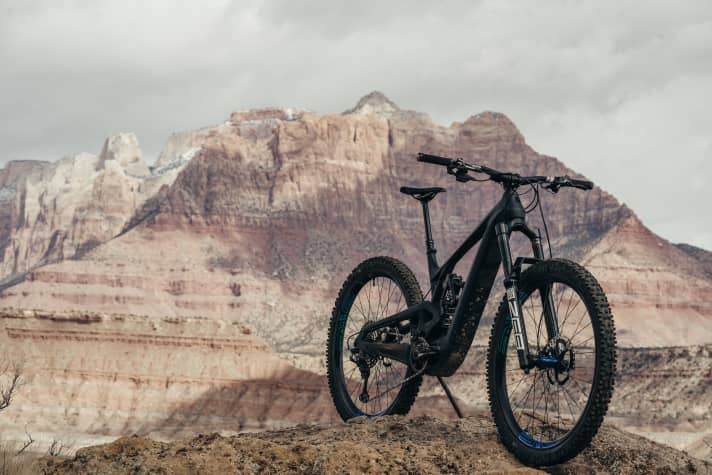 The cable for the Shimano remote can be concealed in the handlebars of the standard bike. The chainstay and underride guard are massive.