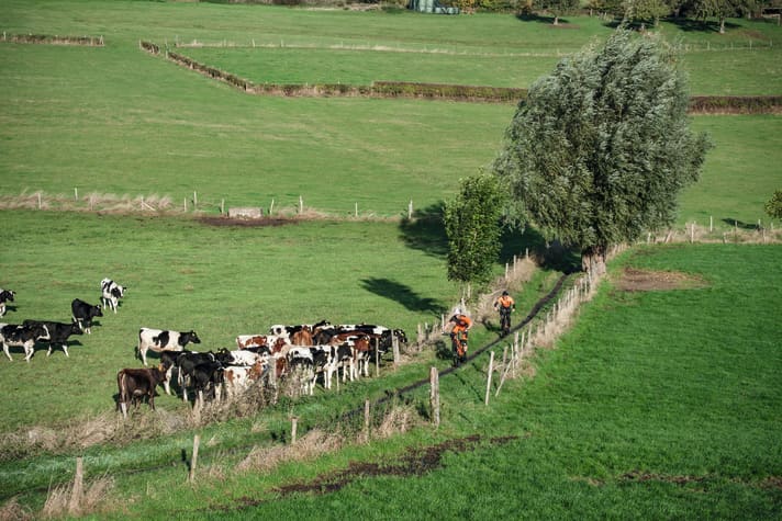 Die Tour startet in den Aachener Wald und klettert dann den höchsten Gipfel der Niederlande hinauf. Letzteres klingt komisch, ist aber so (Vaalserberg, 323 m).