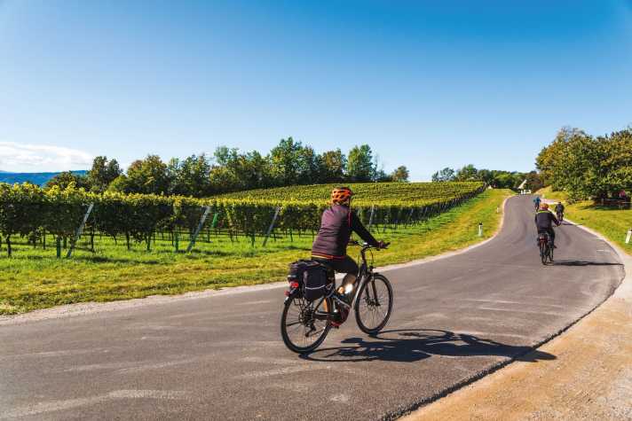 Vineyards as far as the eye can see: that's the promise of a tour through the Vipava Valley.