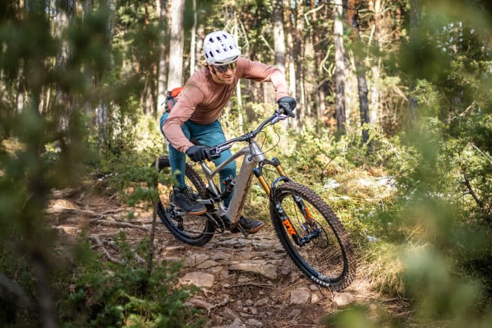 Smooth-running and easy to swallow: the Alutech eFanes has a lot of power.