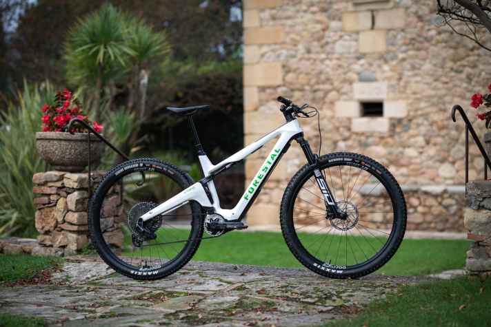 The Forestal E-Cygnus: Bosch SX // 400 Wh // 130 or 120 / 120 mm // 29 inch // 17.6 kg // from 9499 euros.