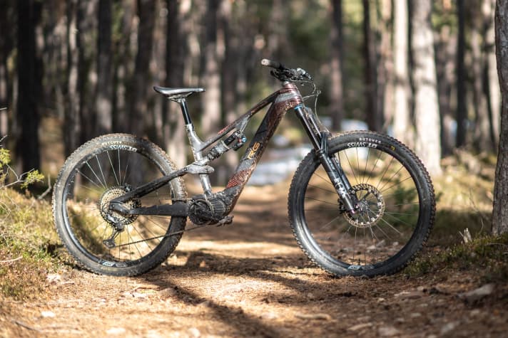 Rotwild R.G 375 Pro // Shimano EP8 // 375 Wh // 180 mm // 29 inch // 20.6 kg // 9499 Euro