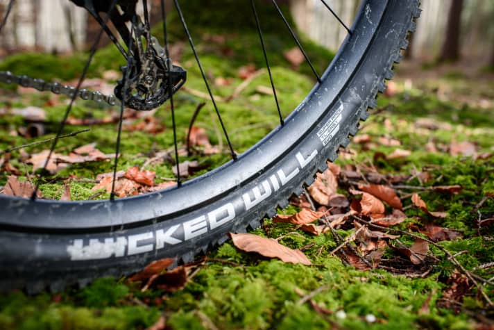 An essential part of the concept is lightweight tyres that roll well. This is the only way the bike can be ridden quickly and relaxed on flat terrain, even without the motor. Schwalbe's Wicked Will tyres on the rear wheel come with a wafer-thin race casing.