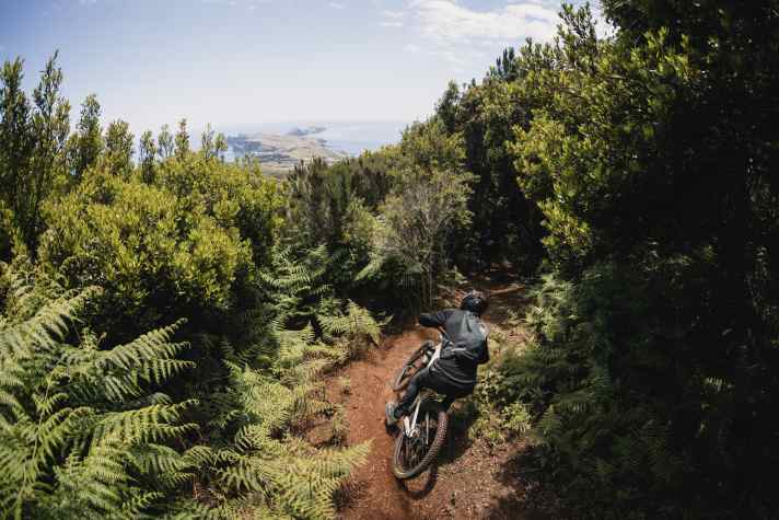 Ihr müsstet riechen können wie es hier duftet. Madeira in Reinform. Madeira in Feinform.