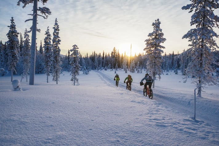Fatbike expedition Lapland