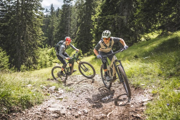 Preis-Leistung: Der höhere Preis ist kein Indiz für bessere Bikes.