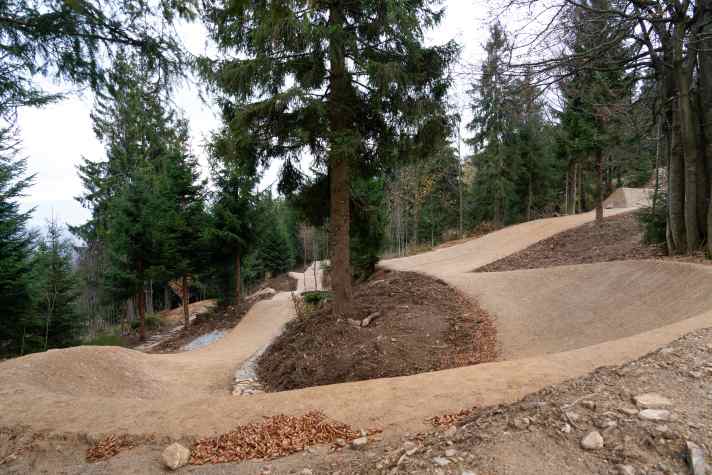 Stable basic structure: In "Phase 1", the Arber bike park received almost artistically draped flowlines from the Trail Tech brand.