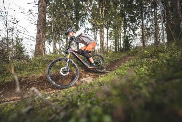 On flatter trails, the Rotwild is in its element and shines with lively and light-footed handling.