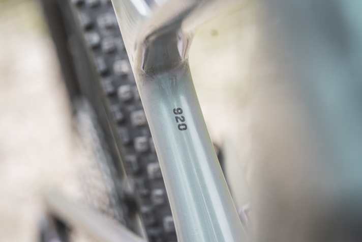 Die Ausstattungsvariante 920 markiert für 5499 Euro den günstigsten Einstieg ins Trailbike-Portfolio von Scott.