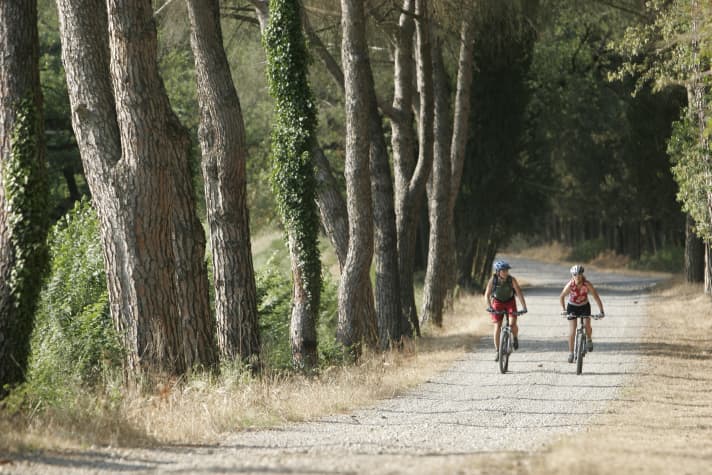 The driveways in Umbria often lead up avenues.