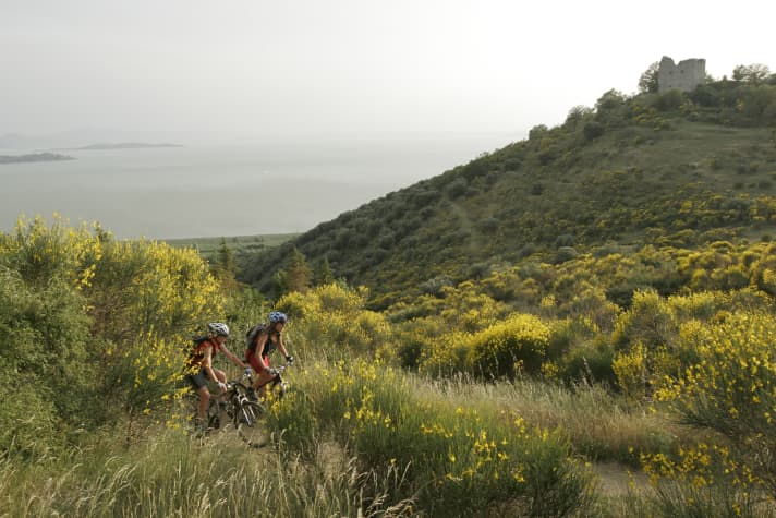 Sandy trails branch off from the Oberer Seeweg towards the shore. They wind through gorse and herbs.