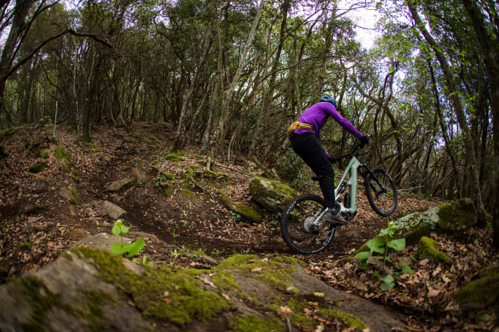 The Strive:On is extremely stable and safe. But for a bike of this calibre, it remains pleasantly agile. Active riding is very welcome!