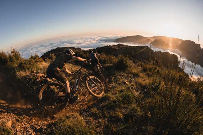 Sunshine on the flower island of Madeira.