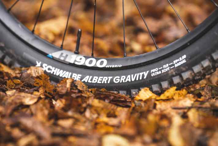 With the new carcass construction, Schwalbe is also launching a completely new tyre with a new tread: the Schwalbe Albert.