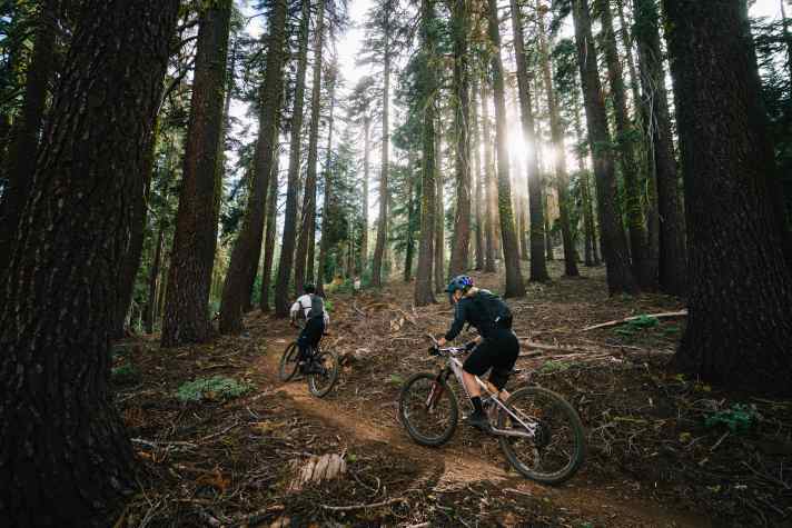 Downcountry habitat: up, down, along.