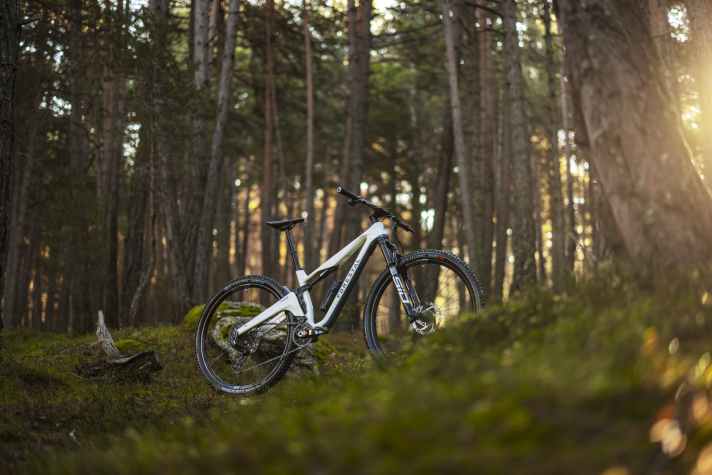 Forestal Cygnus: 130 or 120/120 mm // 29 inch // 12.7 kg // from 6999 euros.