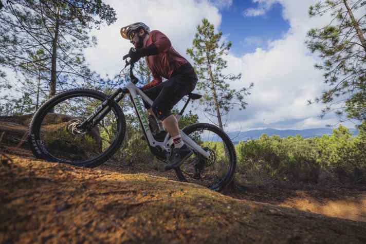 Low front end, short suspension travel: The E-Cygnus encourages sporty acceleration. However, the grippy tyres take their toll on flat terrain above 25 km/h.