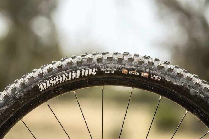 A healthy mix: The Maxxis Dissector offers good cushioning and decent grip with a light ride and low weight.