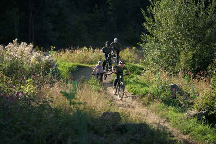 Mountain biking is the perfect fun sport for kids. It's great that there are so many good children's bikes available today.
