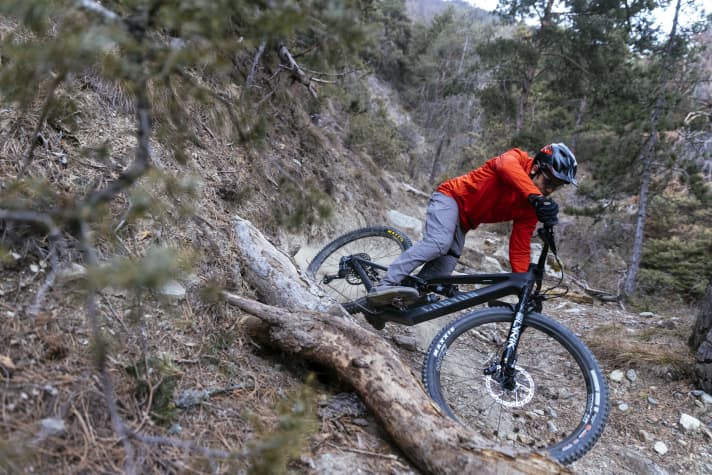 The slack steering angle has not been changed on the new Spectral. This gives the All Mountain a lot of riding safety.