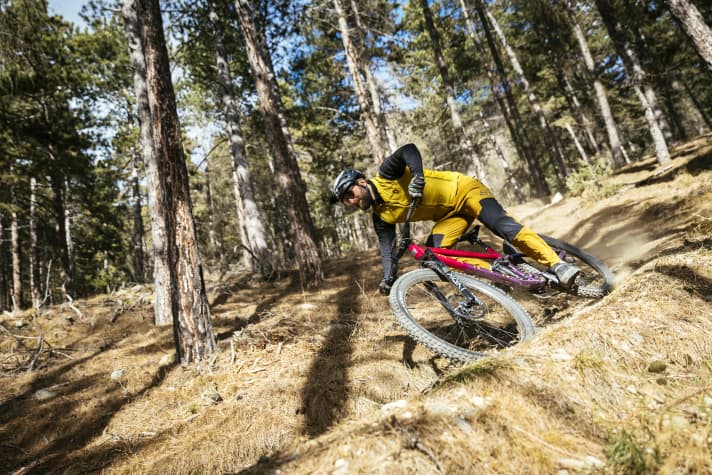 The rear triangle is very stiff. Although this forgives few mistakes, it also offers enough support for heavy riders.