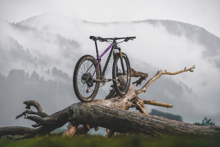 The new Mondraker Chrono Carbon DC with a carbon frame is light and airy, yet powerful on the descents.