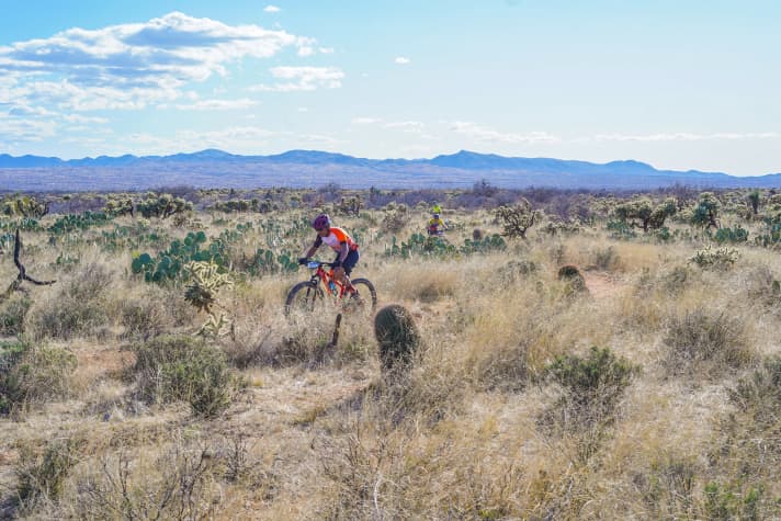 The entire course is lined with cacti. Without puncture repair milk in your tyres, you wouldn't get through a single lap without a puncture.