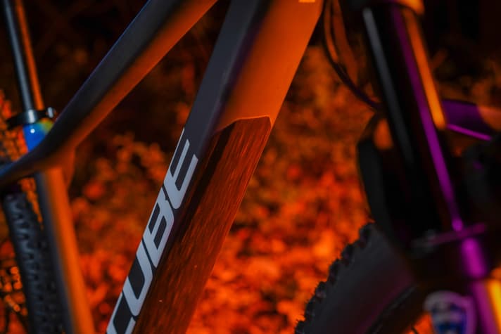 Trotz des hohen Kostendrucks wurde an keinem wichtigen Detail gespart. Eine Folie schützt das Unterrohr vor Steinschlägen, was nicht bei jedem Bike dieser Preiskategorie Standard ist.