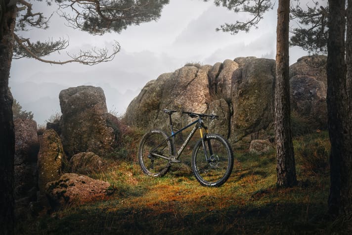 Thanks to modern geometry and a new frame, the Mondraker Chrono Carbon DC should feel at home on almost any terrain.