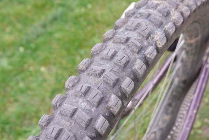 Der WTB Judge am Hinterrad: Auf trockenen Böden generiert er viel Traktion, sitzt stabil auf der Felge und rollt überraschend leicht.