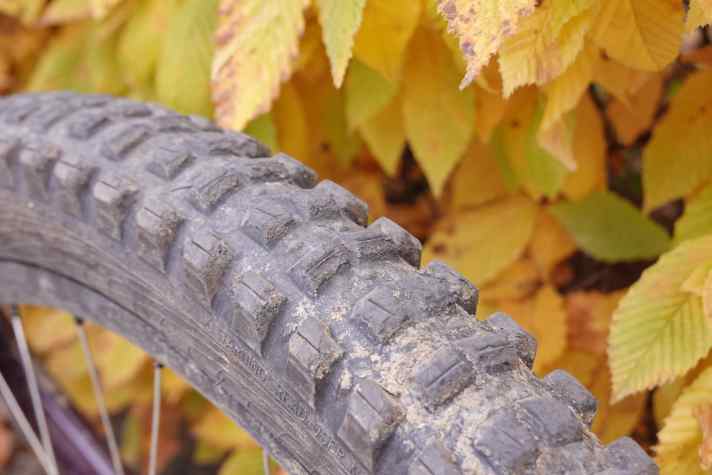 Fairly priced: € 69.95 for durable, gravity-compatible tyres. Buying tip for park rats.