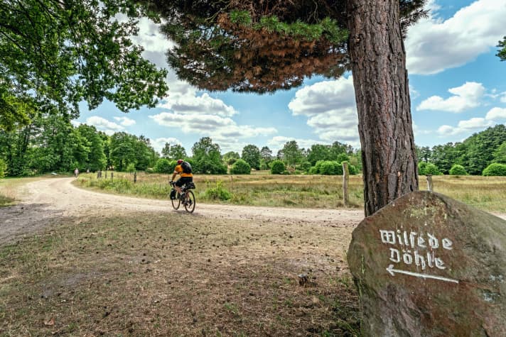 On the way to Wilsede in the heart of the Lüneburg Heath Nature Park.