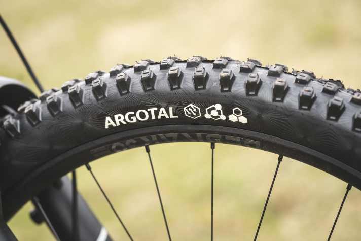 Vorne superweiches Gummi für viel Grip, hinten Downhillkarkasse: Diese Idealkombi gibt’s bei beiden Bikes. Cube setzt auf Continental, Rose auf Schwalbe.