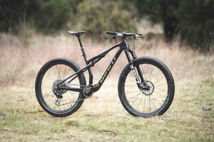 Das Giant Anthen Advanced SL 0 kostet 9499 Euro und wiegt 10,6 Kilo.