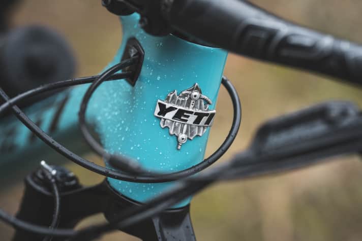 Ein klassisches Steuersatzlogo darf natürlich nicht fehlen: Beim Yeti ASR T3 kaufen Racer auch ein Liebhaberstück.
