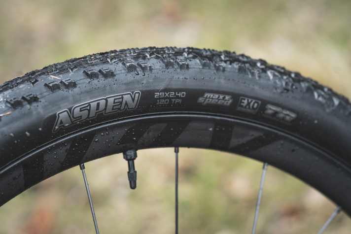 The name says it all: Maxxis Aspen Maxx Speed. The tyres roll fast, but hardly get stuck in deep potholes.