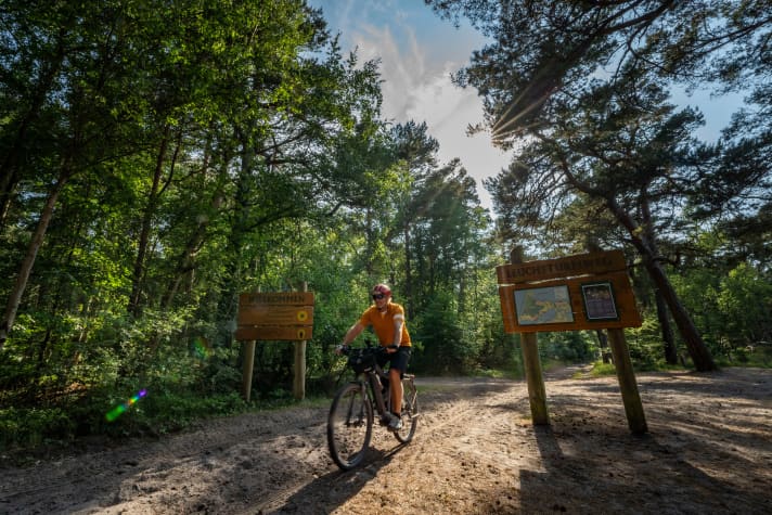 Den Leuchturm am Darßer Ort erreicht man nur zu Fuß, per Rad oder mit der Pferdekutsche.