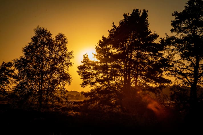 Radreise: Michael Poliza bietet Sonnenauf- und Sonnenuntergangstouren rund um den Wilseder Berg an.
