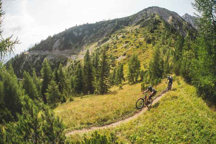 Touren-Fan, Mini-Enduro oder Spielkamerad? Das wird auch durch die Bewertung von Trail-, Uphill- und DH-Stärke ersichtlich.