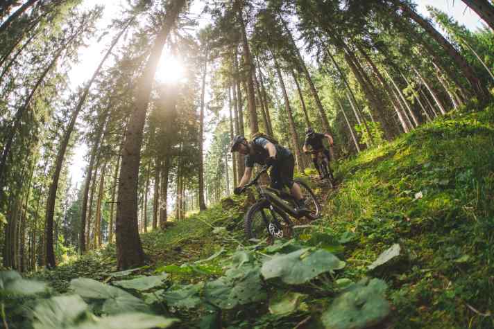 Successful debut: Rose's new light bike File Plus is also a test winner in the most favourable configuration.
