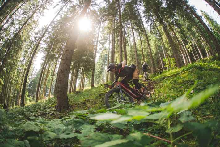 Downhill, the rather high front end in combination with the strong chassis and grippy tyres provides enormous riding safety. Mini enduro!