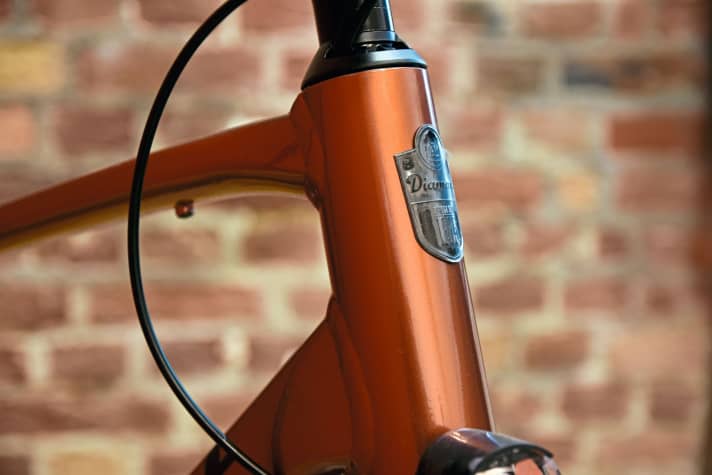 Deceptive: the head tube behind the proud emblem is not that long, only the stem and spacer give the upright position.
