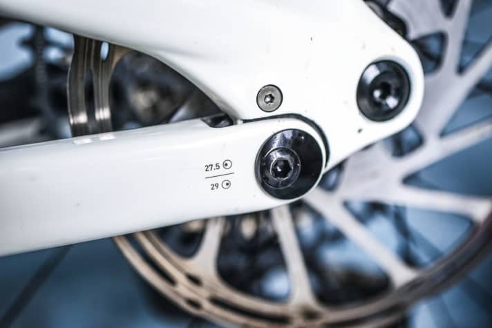 Optionally, the Levo SL can also be ridden with a 29er rear wheel. The geometry is adjusted using this flip chip, the chainstay length then increases slightly.