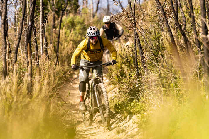 Im Gelände zeigt sich das Patron als kompetenter Allrounder.