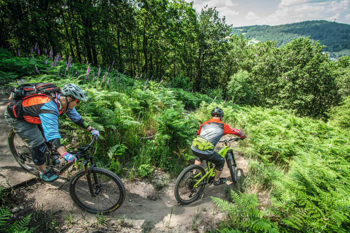 Der Alle Farben Trail ist nur ein Highlight von 12 im Neckarkessel rund um Eberbach.