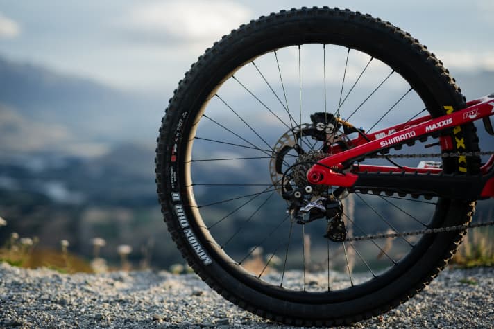 Nina relies on carbon wheels.