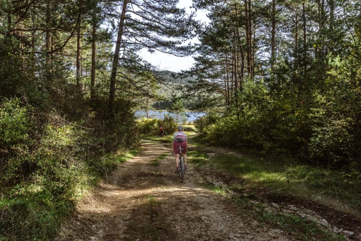 The route leads through dense forests...