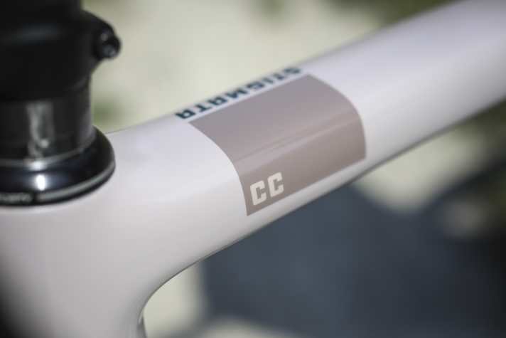 The abbreviation "CC" marks the highest quality and therefore lightest carbon frames at Santa Cruz. The Stigmata for 5299 euros remains under ten kilos despite the suspension fork.