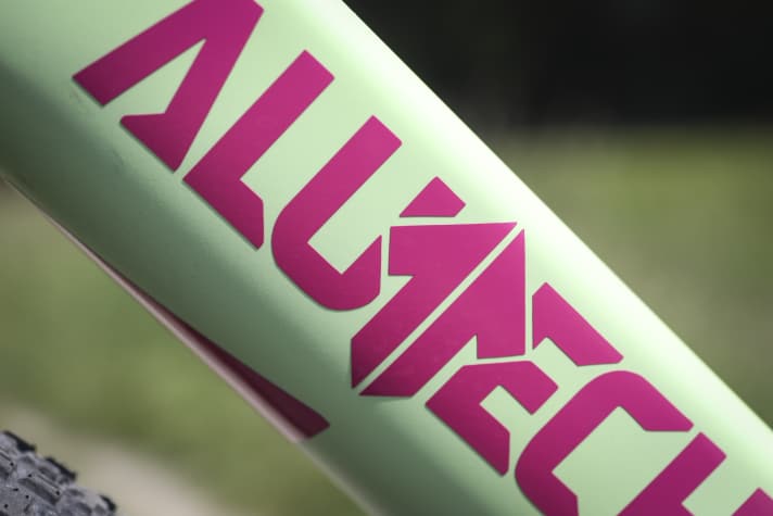 Die Logos sind nur geklebt. Bei Alutech lassen sich Decals und Lackierung individualisieren.